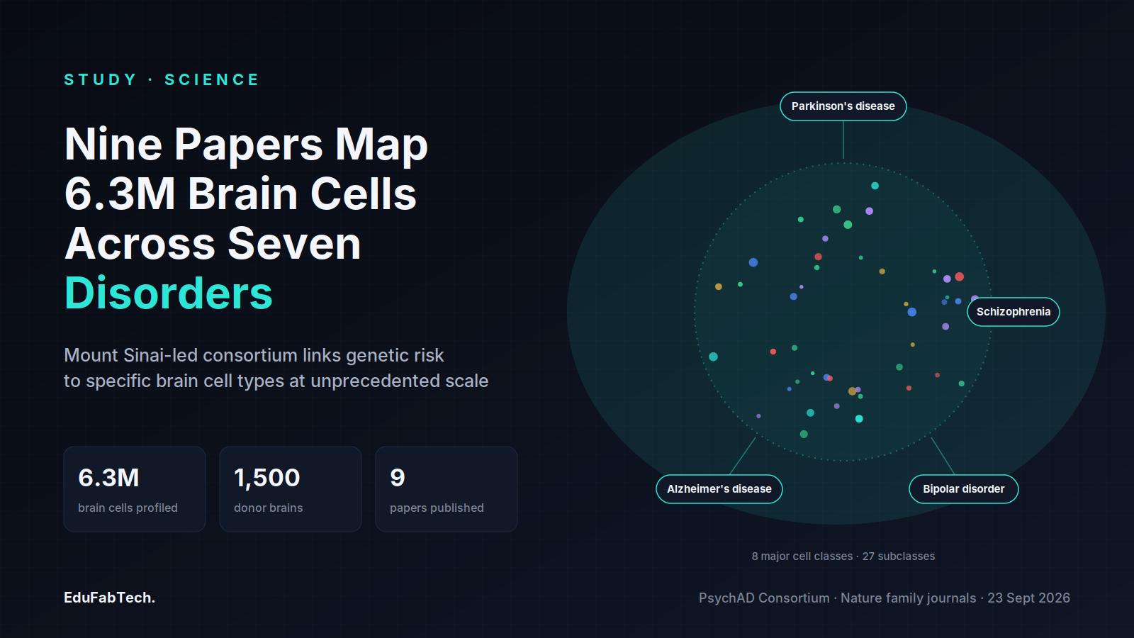 A stylized cell map inside a brain-shaped scan boundary connects six colored cell-class clusters to four of the disorders studied — Alzheimer's, Parkinson's, schizophrenia and bipolar disorder — beside the headline figures: 6.3M cells, 1,500 donors, 9 papers.