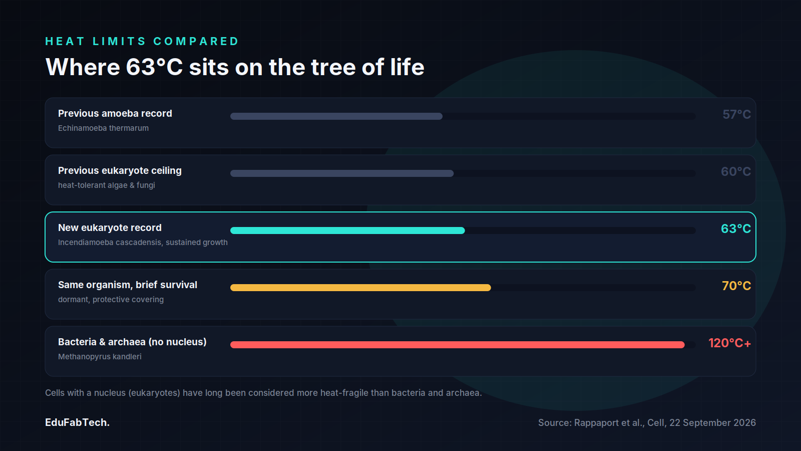 A ranked bar comparison shows the new 63°C amoeba record sitting between the old 60°C eukaryote ceiling and the 120°C+ tolerance of bacteria and archaea.