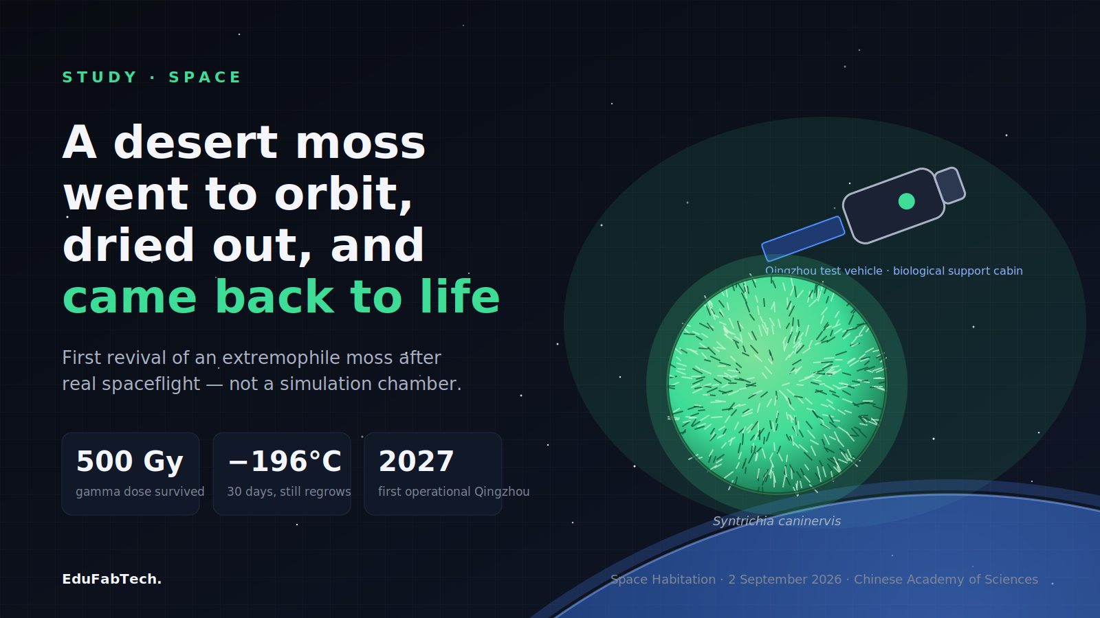 A Desert Moss Was Revived in Orbit, and a New Paper Documents How