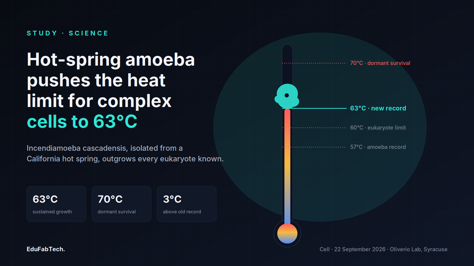 A rising thermometer marks Incendiamoeba cascadensis's 63°C growth record and 70°C survival limit against prior thermal ceilings.