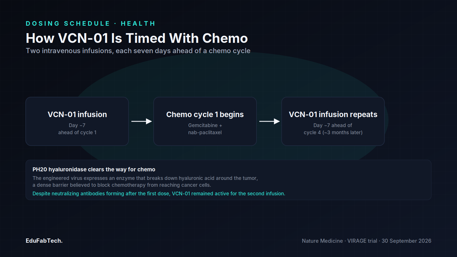 A three-step timeline showing how the two VCN-01 virus infusions are each given seven days before a chemotherapy cycle, with a note on the hyaluronidase mechanism and antibody response.