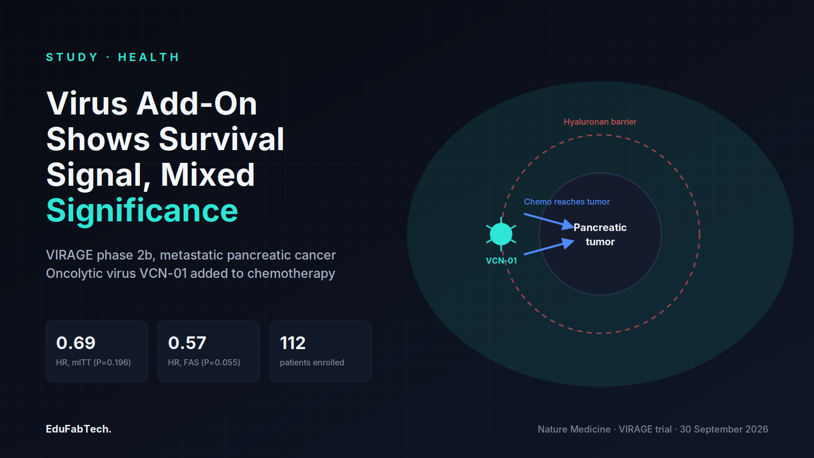 An engineered virus particle breaches the hyaluronan barrier around a pancreatic tumor so chemotherapy can reach it, alongside the trial's two hazard ratios and patient count.