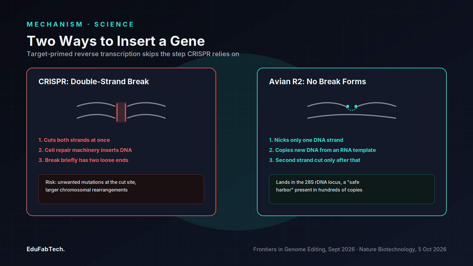 Side-by-side diagrams compare CRISPR's double-strand break and repair-based insertion with the R2 element's break-free, RNA-templated target-primed reverse transcription.