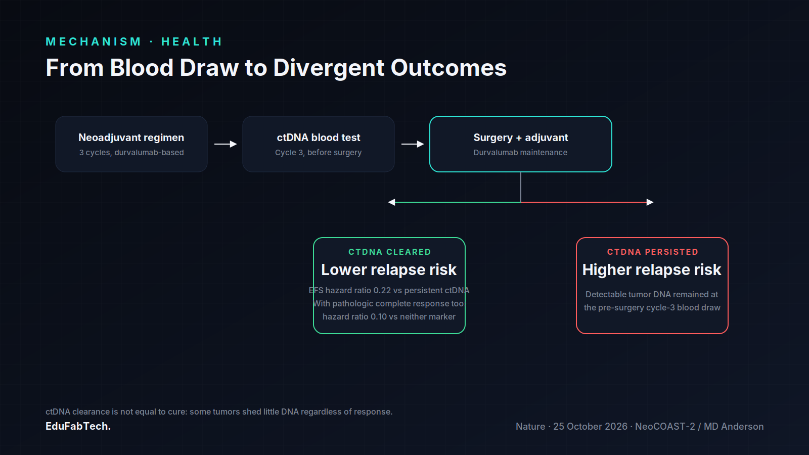 A process diagram from neoadjuvant treatment through the pre-surgery blood test to surgery, branching into the lower- and higher-relapse-risk outcomes tied to ctDNA status.