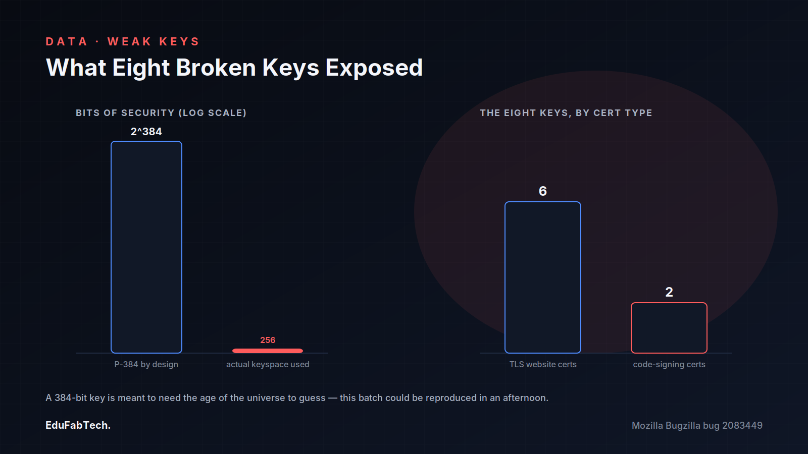 Side-by-side bars contrasting the P-384 key's intended 2^384 keyspace against the 256 values actually used, plus a breakdown of the eight compromised keys into 6 TLS certificates and 2 code-signing certificates.