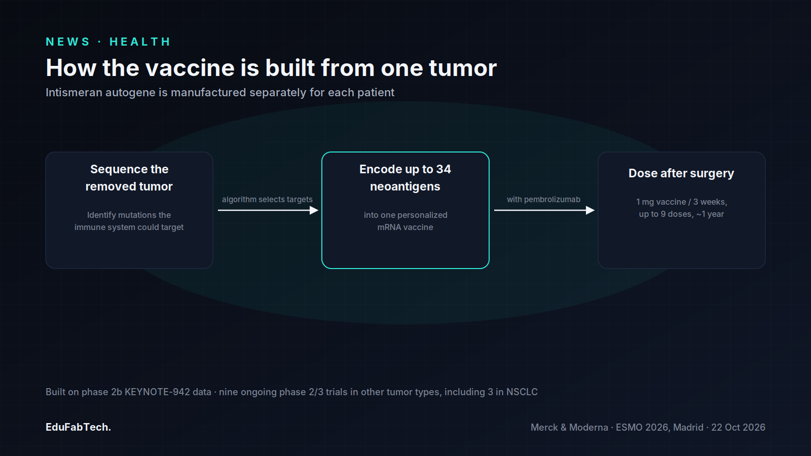 Three-step diagram of how intismeran autogene is made: sequence the tumor, encode up to 34 neoantigens into one mRNA vaccine, then dose alongside pembrolizumab after surgery.