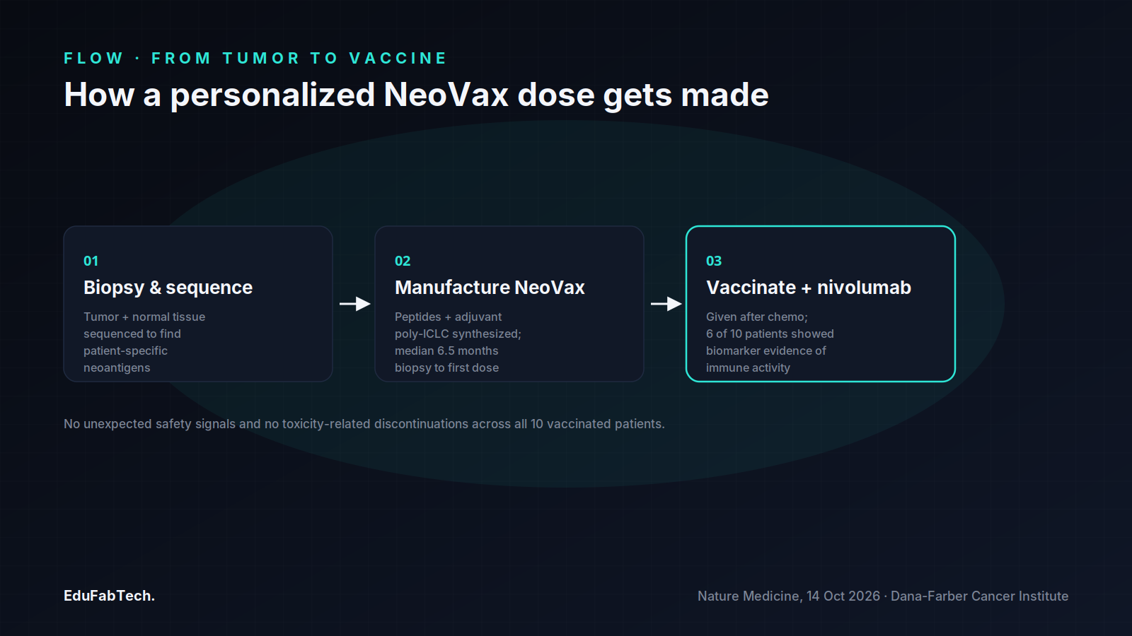 A three-step flow from tumor biopsy and sequencing to vaccine manufacturing (median 6.5 months) to vaccination paired with nivolumab.