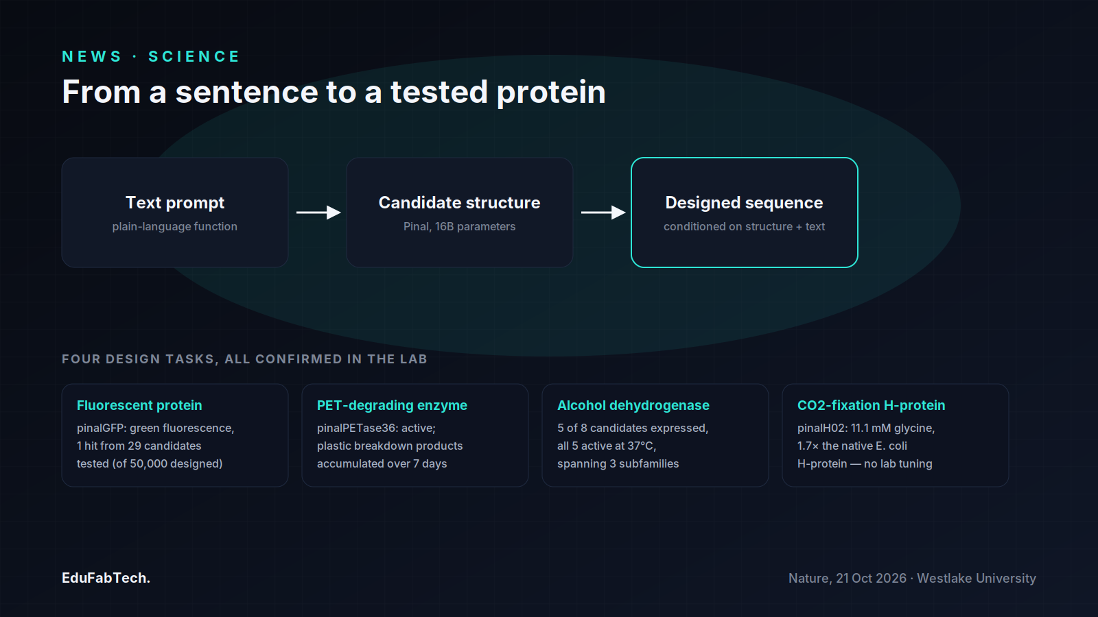 A three-stage pipeline (text prompt → candidate structure → designed sequence) leads to the four proteins Pinal designed and researchers confirmed active in the lab.