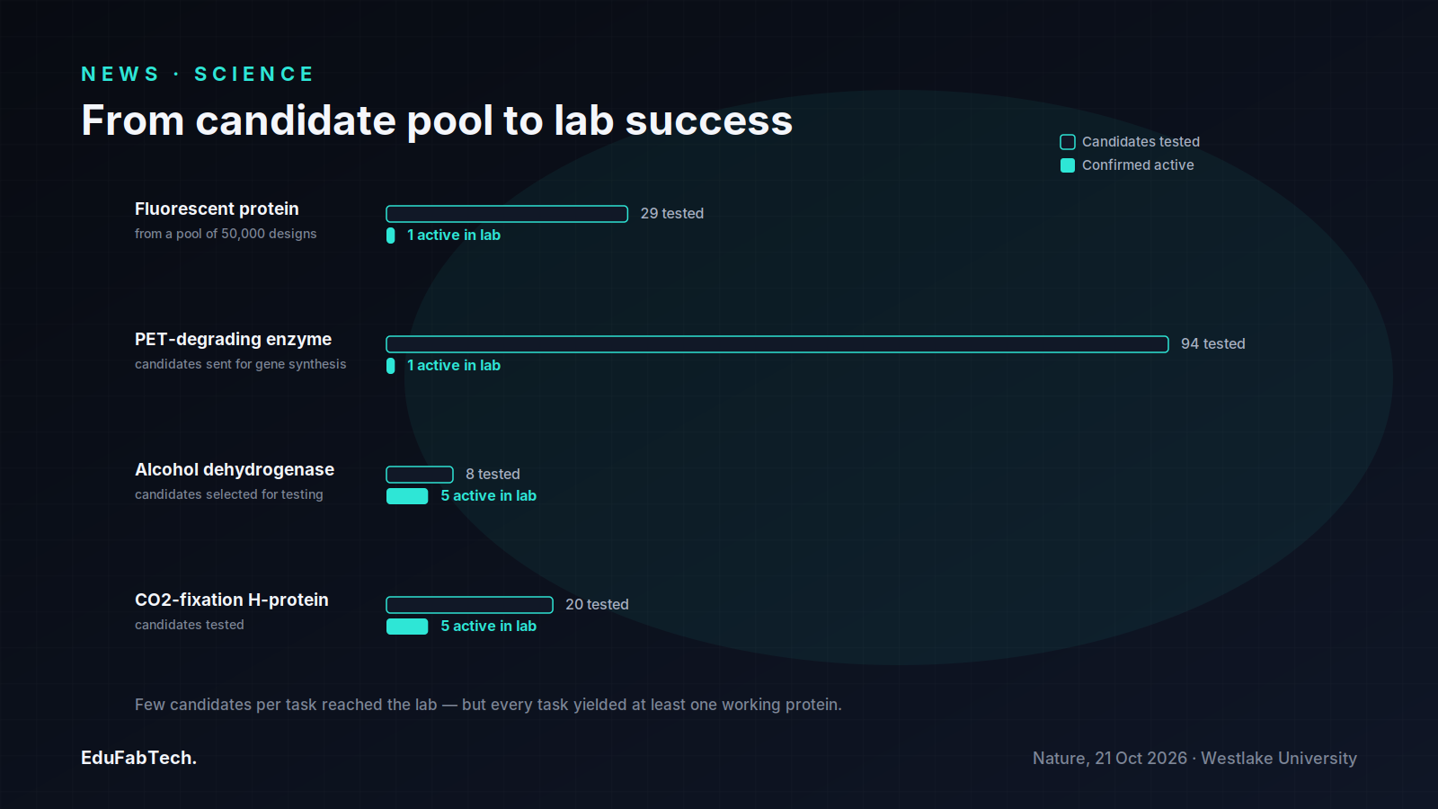 A bar chart compares how many candidates were tested versus confirmed active for each of the four design tasks, from 29-of-50,000 for the fluorescent protein to 5-of-8 for the enzyme.