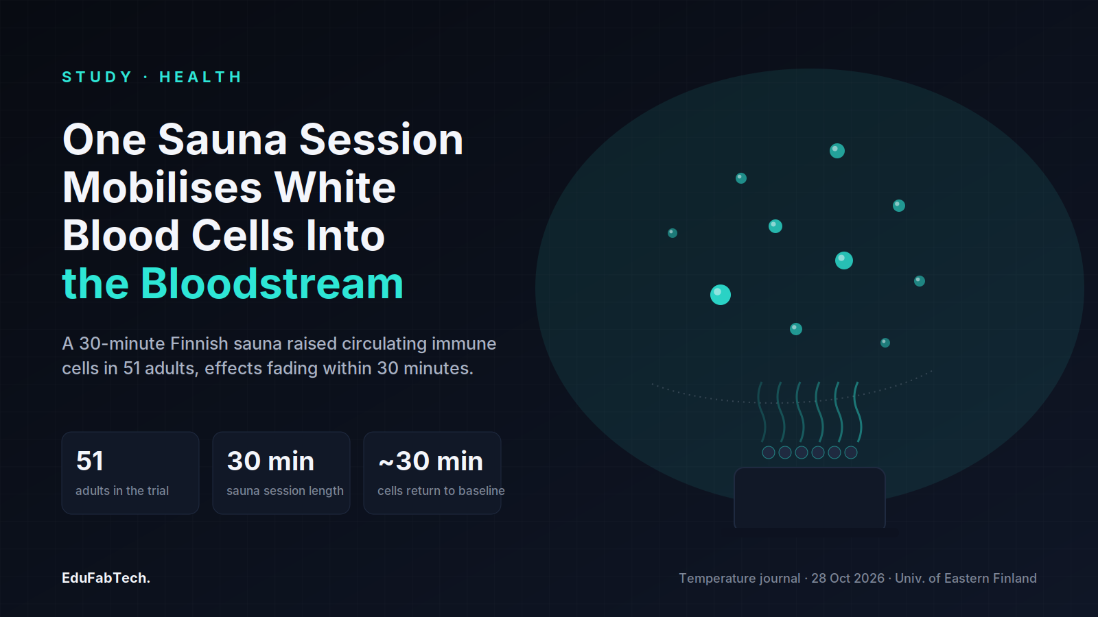 A sauna stove radiates heat toward scattered glowing cells drifting into the bloodstream, framing the headline finding that one 30-minute sauna mobilises white blood cells in 51 adults.