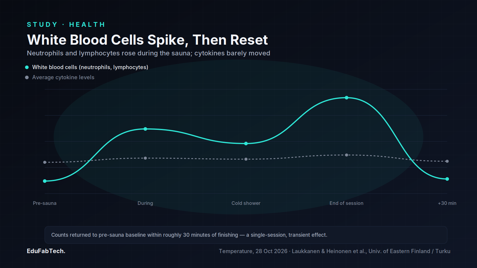 A line chart tracks white blood cell counts rising sharply during the sauna session and returning to baseline about 30 minutes afterward, while average cytokine levels stay nearly flat throughout.