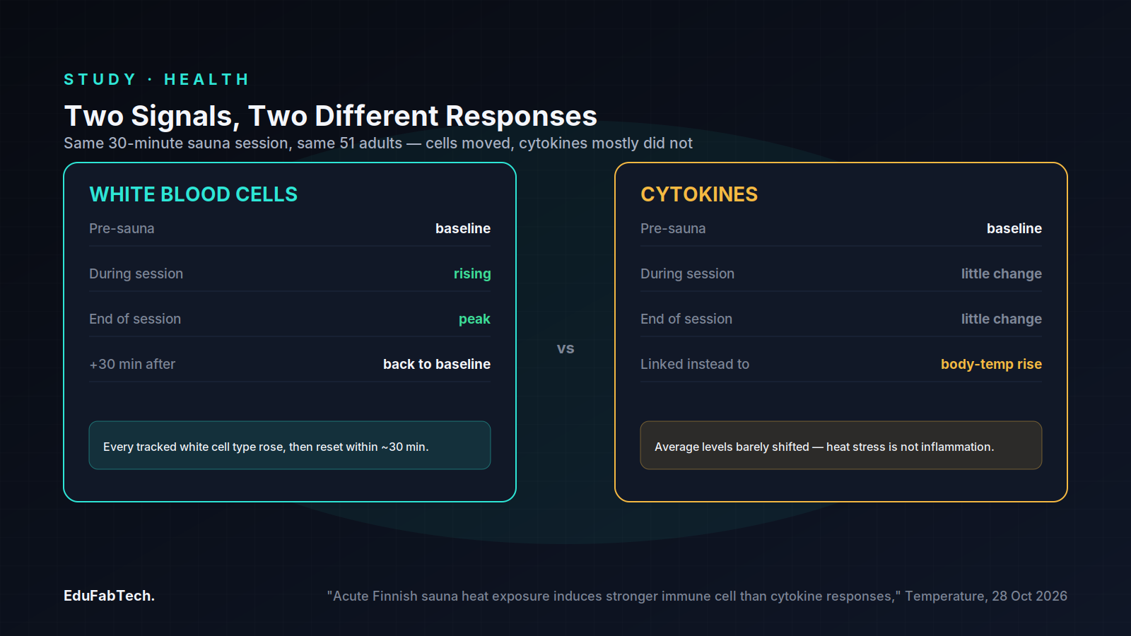 A side-by-side comparison panel contrasts the strong, transient white-blood-cell response to the sauna session against the comparatively flat cytokine response measured in the same volunteers.