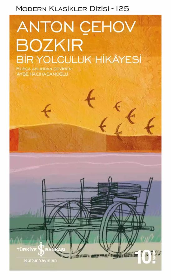Cover of Bozkır – Bir Yolculuk Hikâyesi
