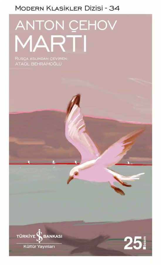 Cover of Martı