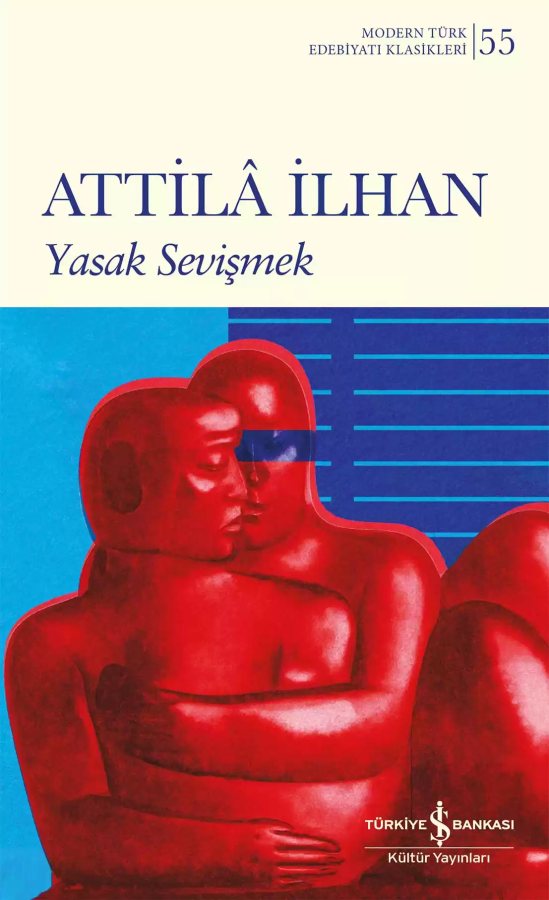 Cover of Yasak Sevişmek