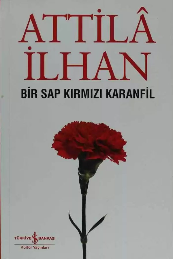 Cover of Bir Sap Kırmızı Karanfil