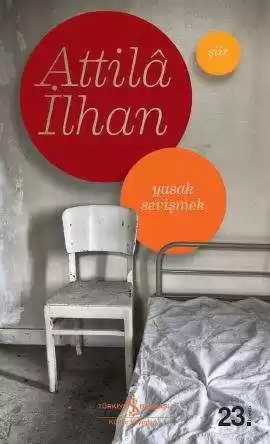 Cover of Yasak Sevişmek
