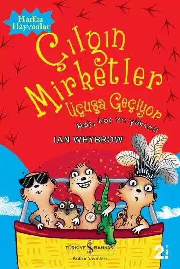 Cover of Çılgın Mirketler Uçuşa Geçiyor