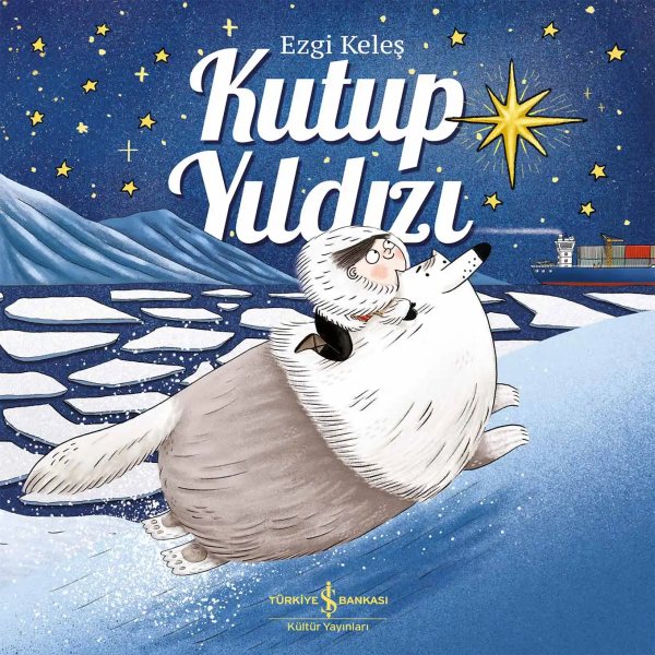 Cover of Kutup Yıldızı