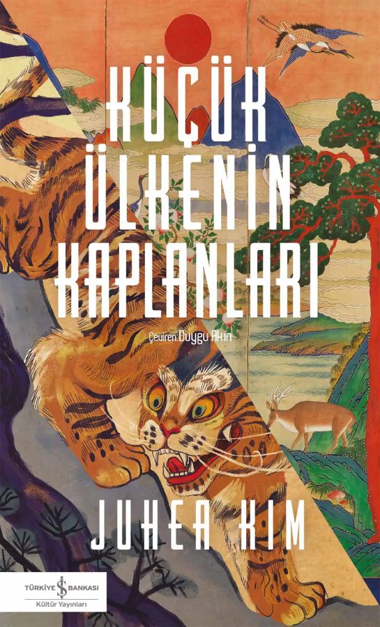 Cover of Küçük Ülkenin Kaplanları