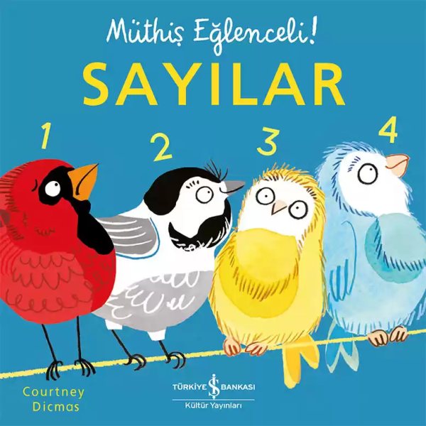 Cover of Sayılar – Müthiş Eğlenceli!