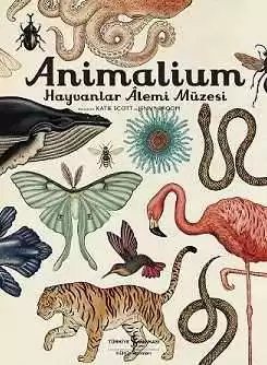 Cover of Animalium