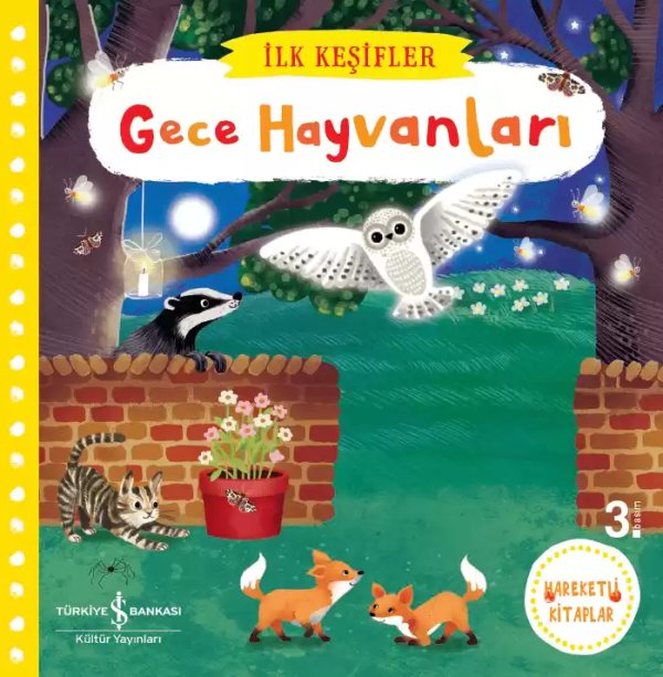 Cover of Hareketli Gece Hayvanları
