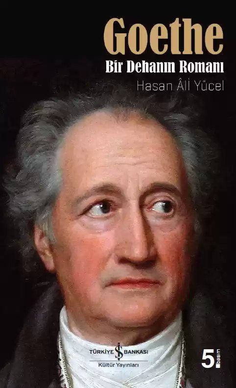 Cover of Goethe – Bir Dehanın Romanı