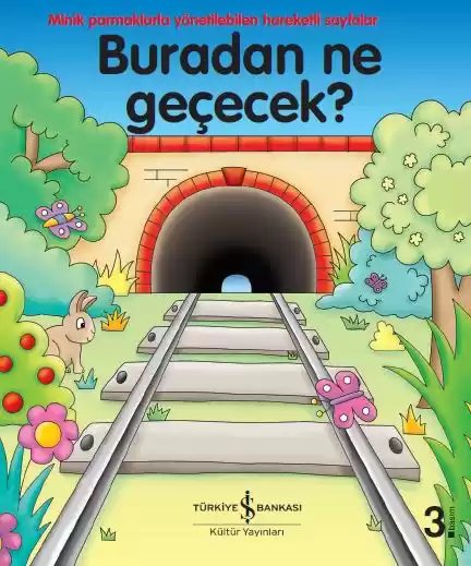 Cover of Buradan Ne Geçecek?