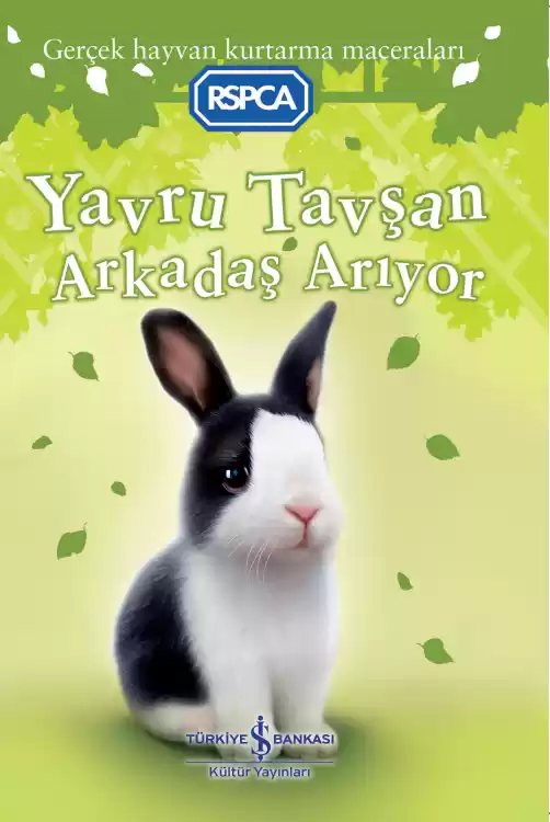 Cover of Yavru Tavşan Arkadaş Arıyor