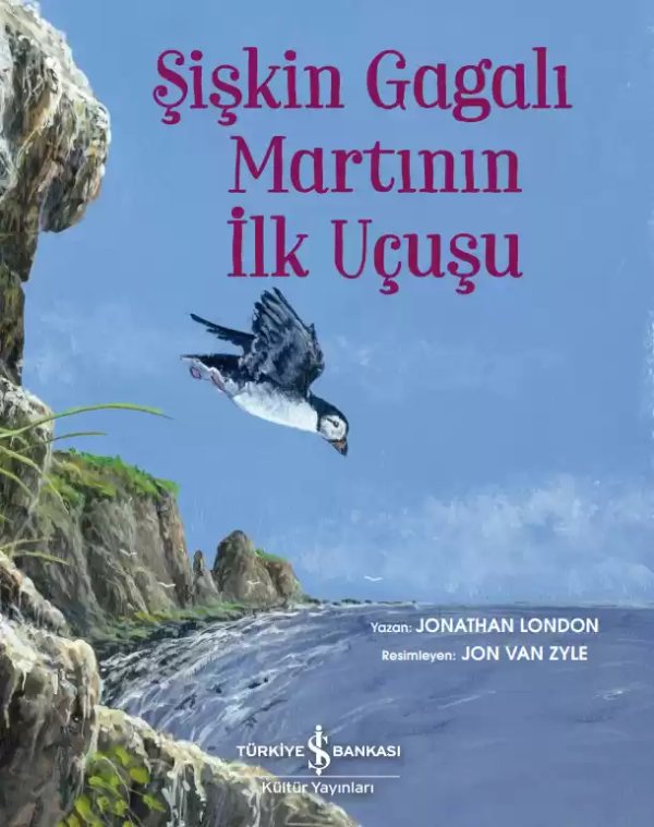 Cover of Şişkin Gagalı Martının İlk Uçuşu