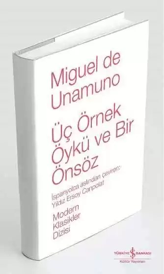 Cover of Üç Örnek Öykü ve Bir Önsöz Ciltli
