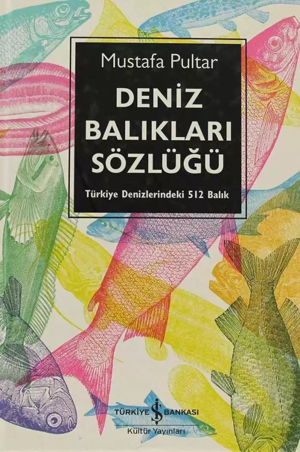 Cover of Deniz Balıkları Sözlüğü