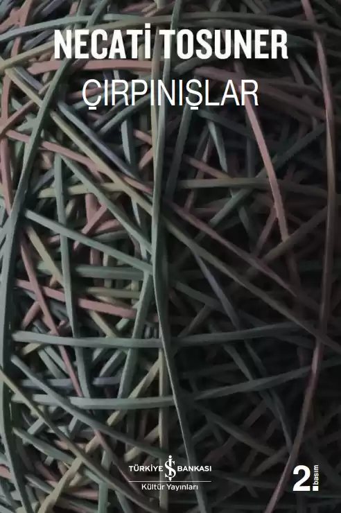 Cover of Çırpınışlar