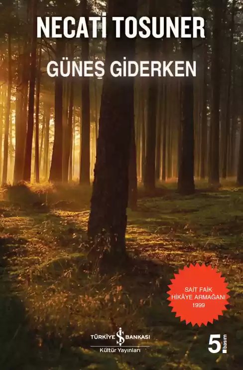 Cover of Güneş Giderken