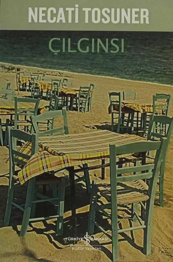 Cover of Çılgınsı