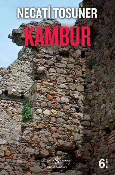 Cover of Kambur