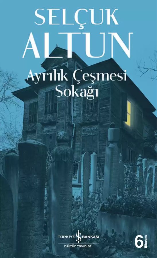 Cover of Ayrılık Çeşmesi Sokağı