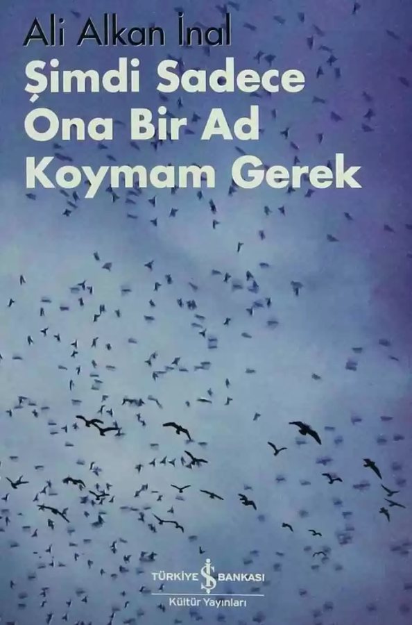 Cover of Şimdi Sadece Ona Bir Ad Koymam Gerek