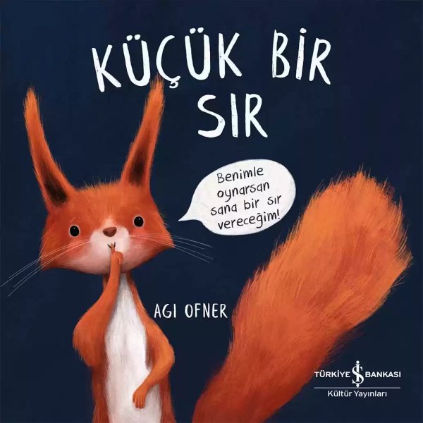 Cover of Küçük Bir Sır