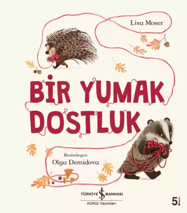 Cover of Bir Yumak Dostluk