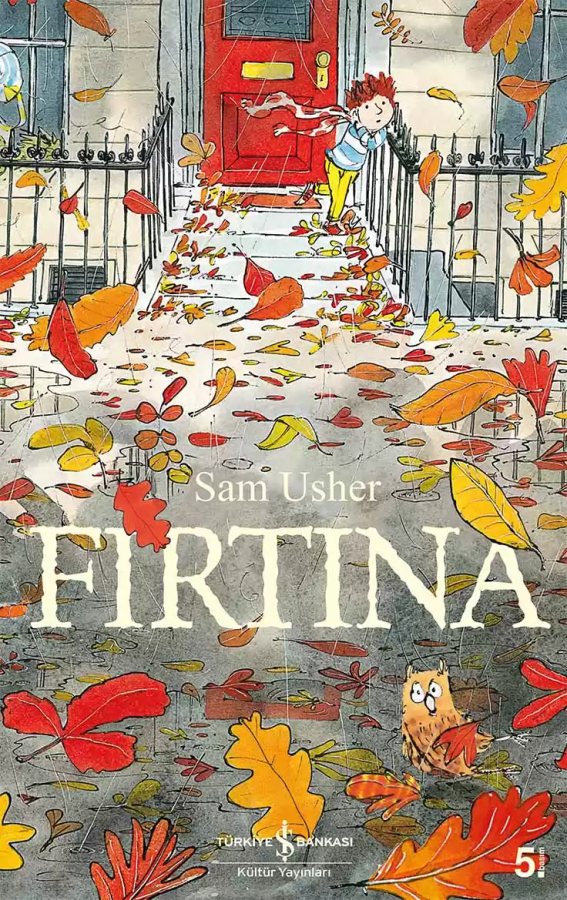 Cover of Fırtına