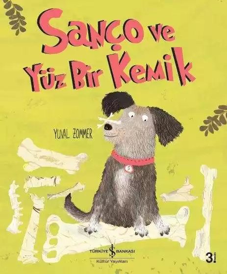 Cover of Sanço ve Yüz Bir Kemik