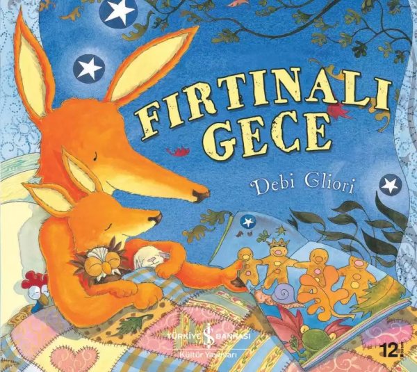 Cover of Fırtınalı Gece